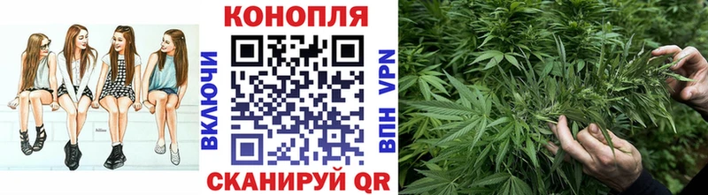 Конопля SATIVA & INDICA  Вилючинск 